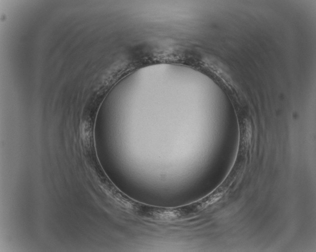 X0000062170513200512161254