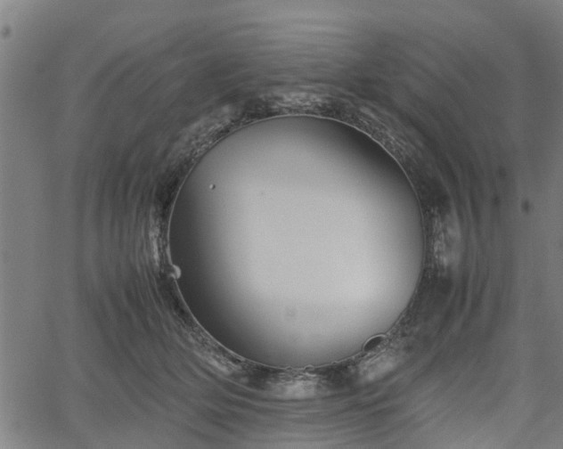 X0000062170514200512161254