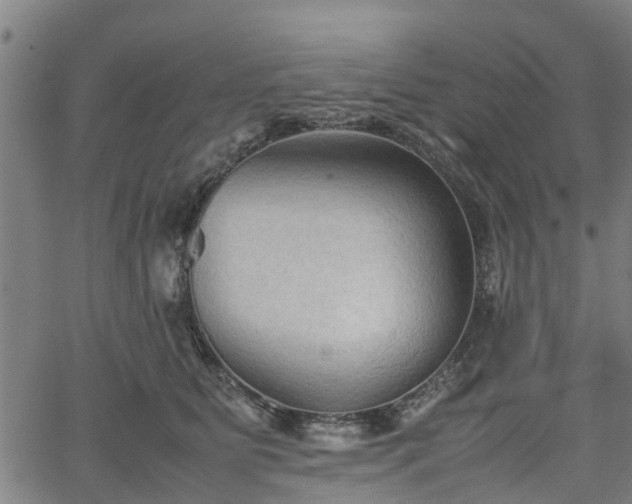 X0000062170515200512161254