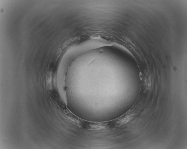 X0000062170516200512161254