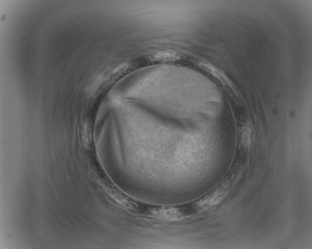 X0000062170517200512161254