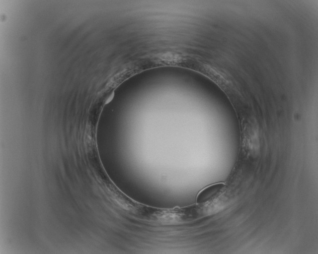 X0000062170518200512161254