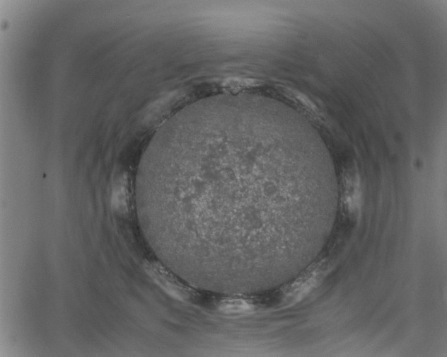 X0000062170519200512161254