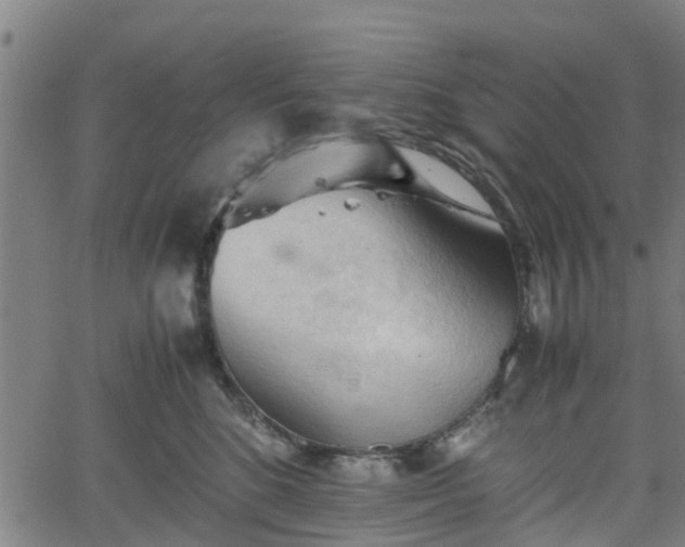 X0000062170520200512161254