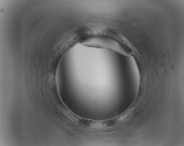 X0000062170521200512161254