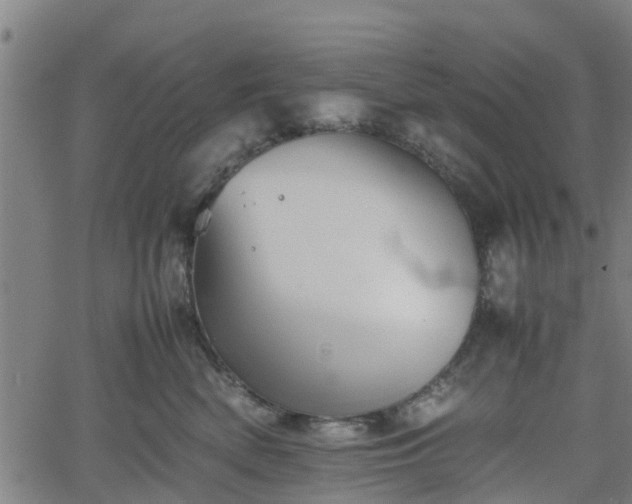 X0000062170522200512161254