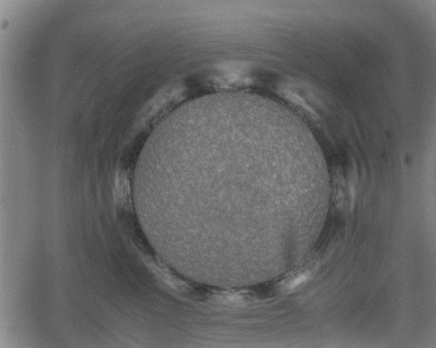 X0000062170523200512161254