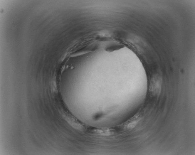 X0000062170524200512161254