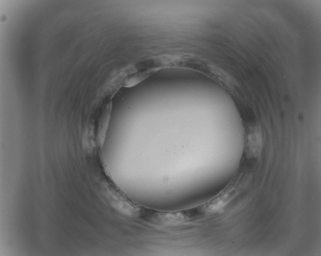 X0000062170525200512161254