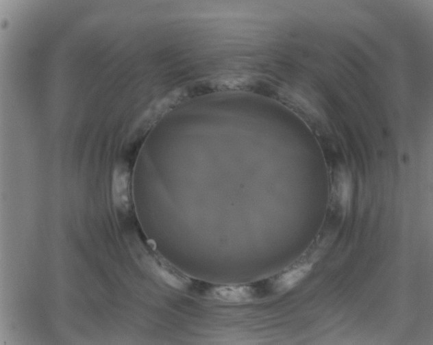 X0000062170526200512161254