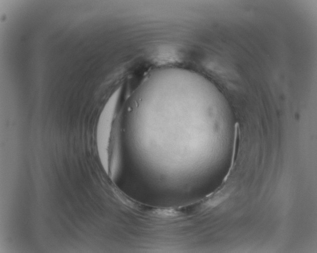 X0000062170528200512161254