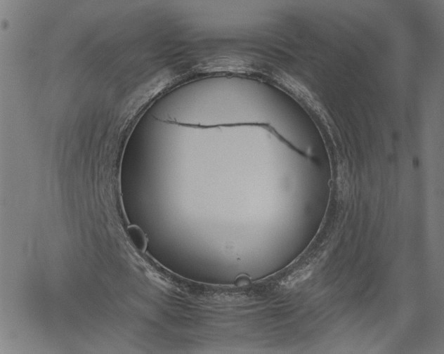 X0000062170529200512161253