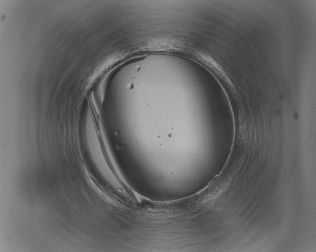 X0000062170530200512161253