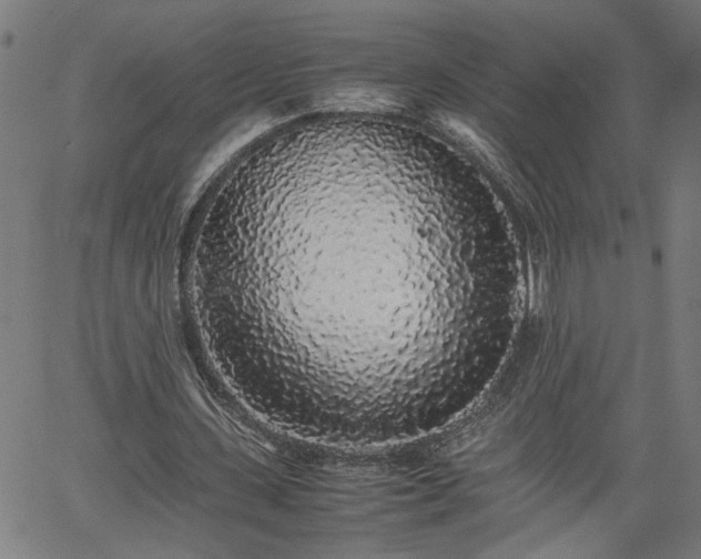 X0000062170531200512161253