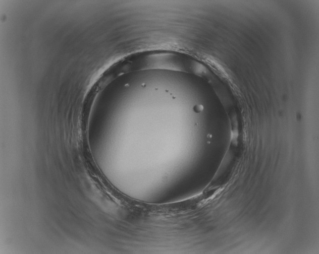 X0000062170532200512161253