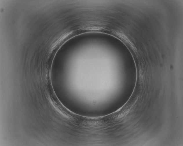 X0000062170533200512161253