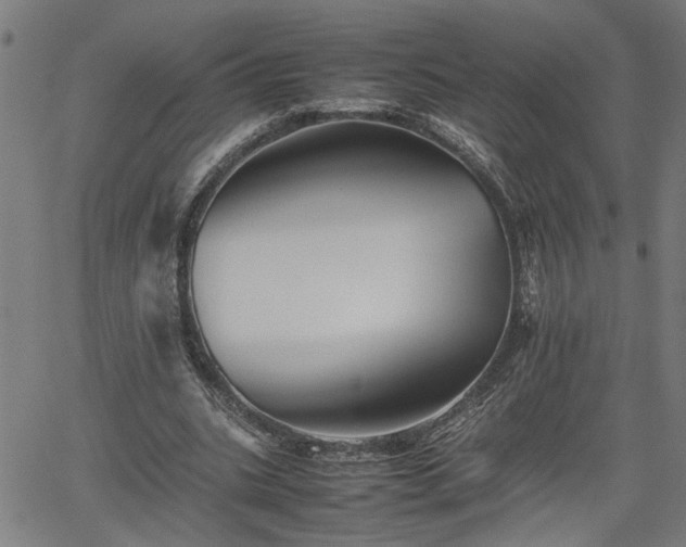 X0000062170535200512161253