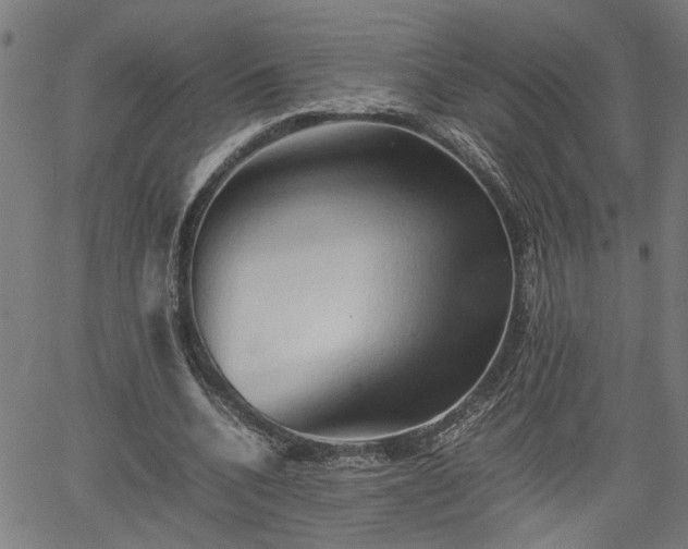 X0000062170536200512161253