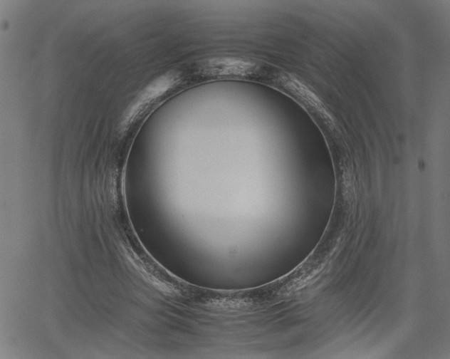 X0000062170537200512161253