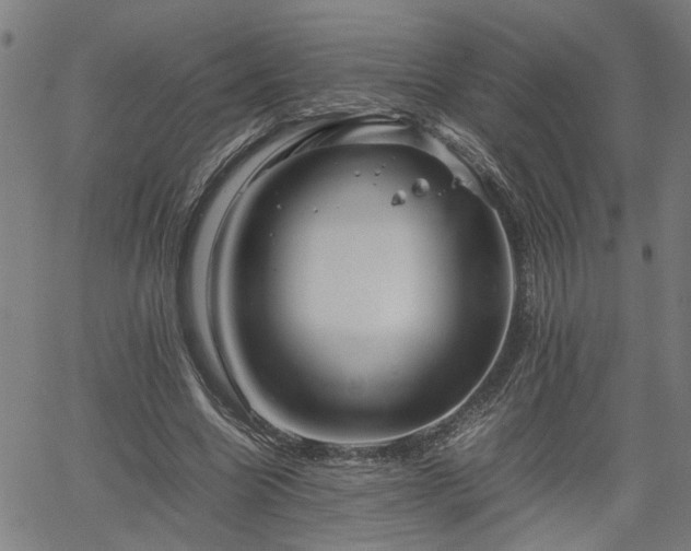 X0000062170538200512161253