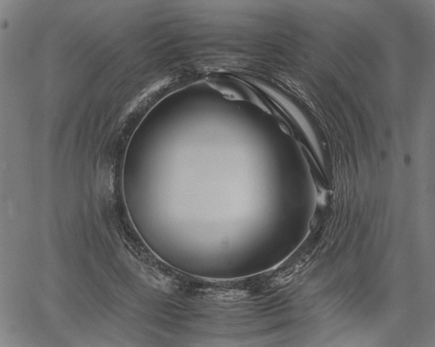 X0000062170539200512161253