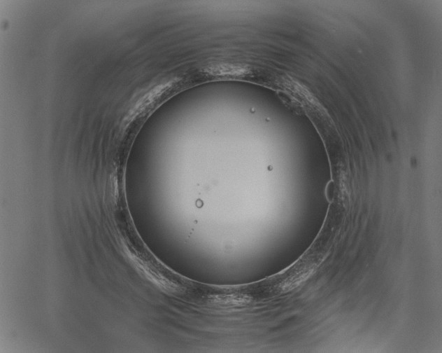 X0000062170541200512161253