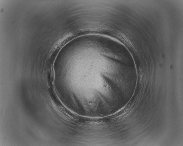 X0000062170542200512161253