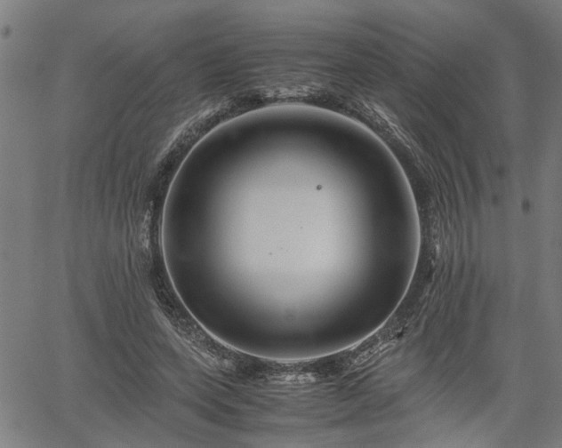 X0000062170543200512161253