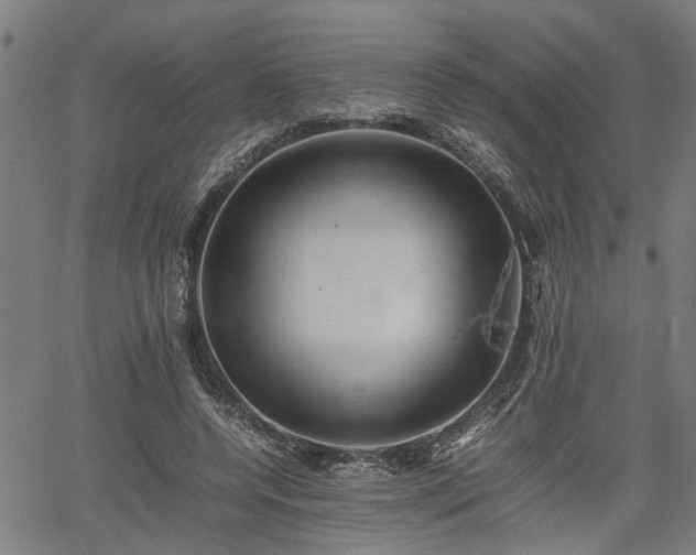 X0000062170544200512161254