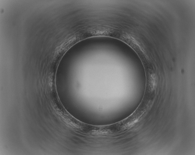 X0000062170545200512161254