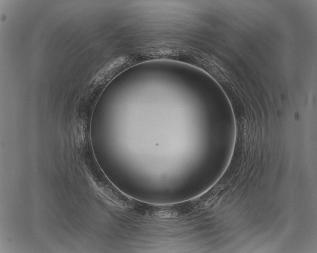 X0000062170546200512161254