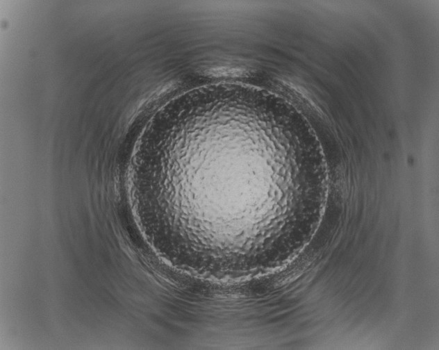 X0000062170547200512161254