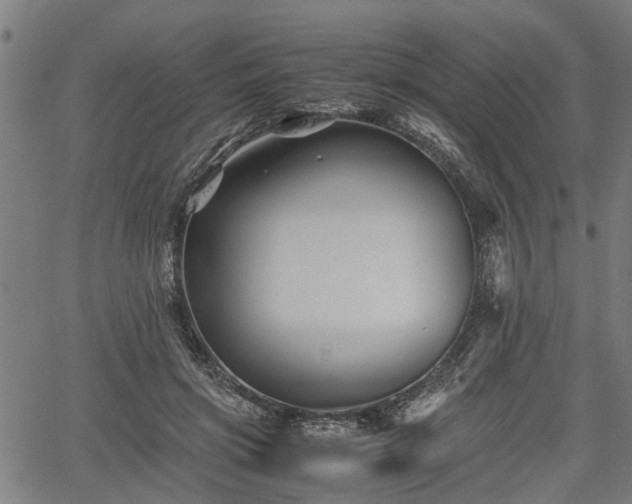 X0000062170549200512161254