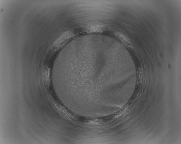 X0000062170550200512161254