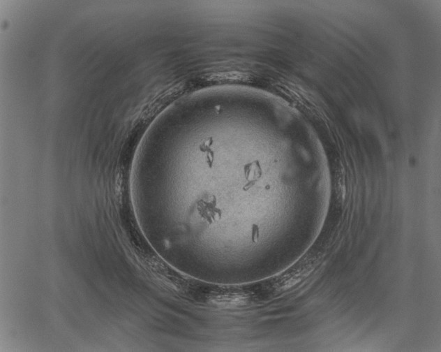 X0000062170551200512161254