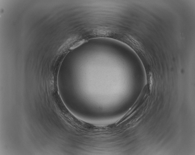 X0000062170552200512161254