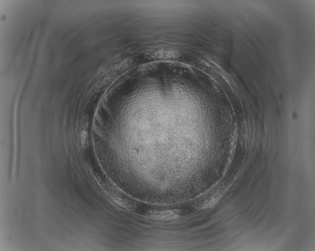 X0000062170553200512161254