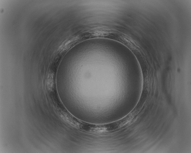 X0000062170554200512161254