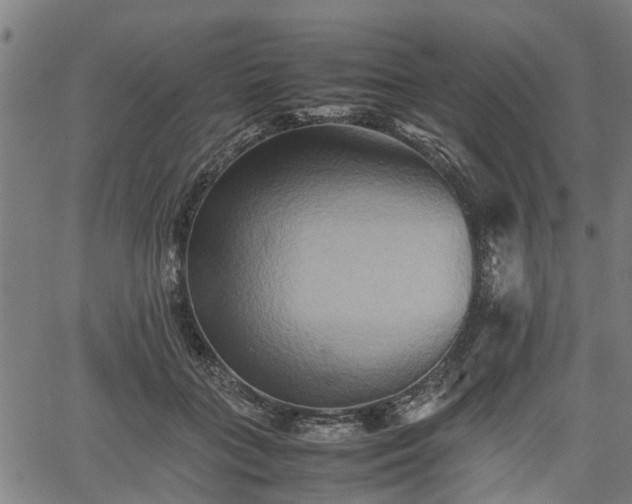 X0000062170555200512161254