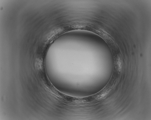 X0000062170556200512161254