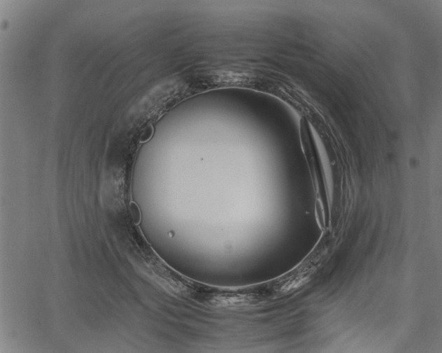 X0000062170557200512161254