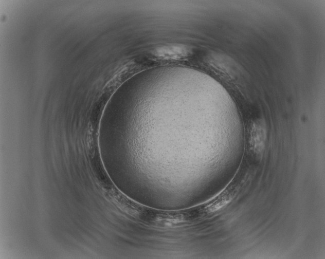 X0000062170559200512161254