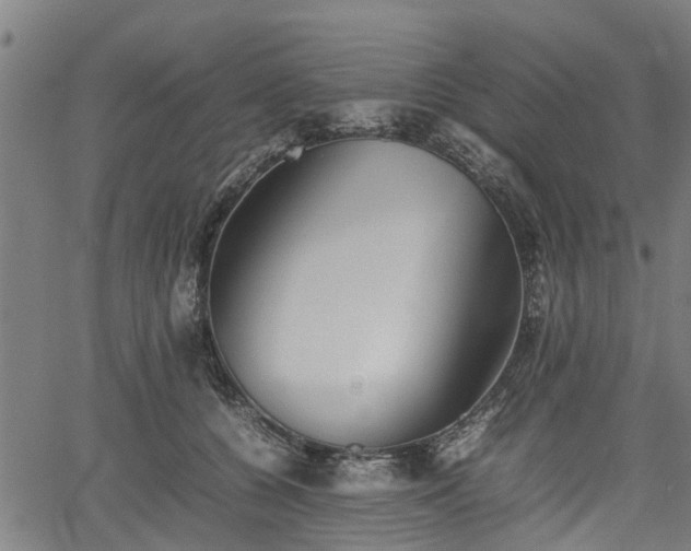 X0000062170560200512161254