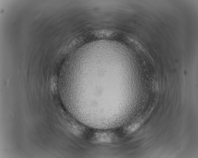 X0000062170561200512161254