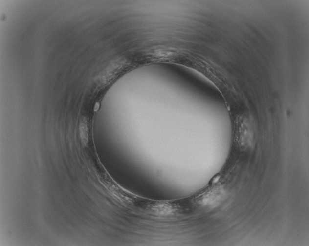 X0000062170562200512161254