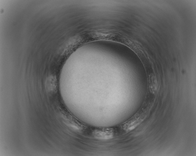 X0000062170563200512161254