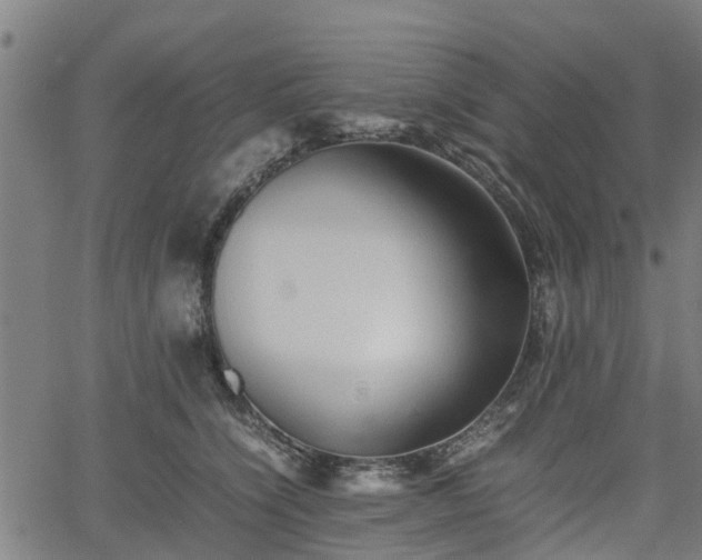 X0000062170564200512161254