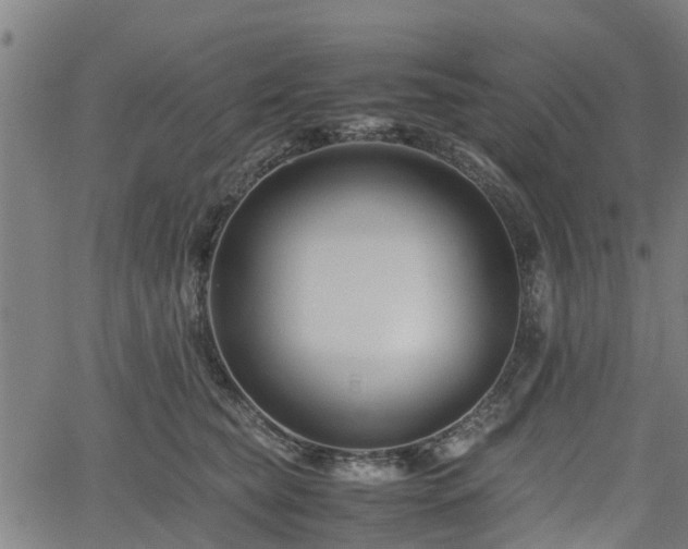 X0000062170565200512161254