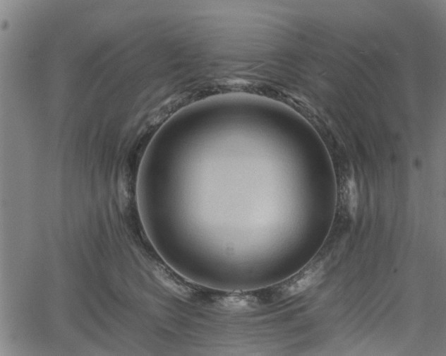 X0000062170566200512161254