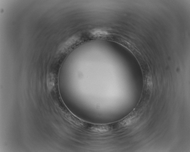 X0000062170567200512161254